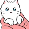 Gatitos💞10🇵🇪Clásica 18