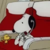 ﹒🐶˙﹟Snoopy﹗© ivanbu 12