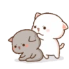 Kucing bucin 2 15