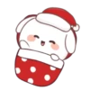 🎅🏻Conejito Navideño 2 MOV.🐰 19
