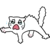 Gatitos💞10🇵🇪Clásica 19