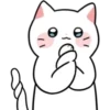 Gatitos💞10🇵🇪Clásica 20