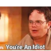 You're An Idiot