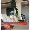 Galatasaray 14