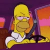 Homero Simpson 18