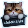 Gatitos💞10🇵🇪Clásica 23