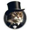 Gatitos💞10🇵🇪Clásica 24