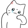 Gatitos💞10🇵🇪Clásica 26
