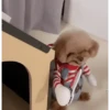 Am♥️PETS 22