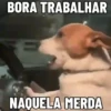 🐕 Coitadolândia de Cachorrinho 11
