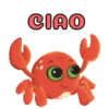 Ferragosto 12