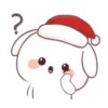 🎅🏻Conejito Navideño 2 MOV.🐰 23