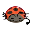 Catarinas 1 🐞 MOV. 🇲🇽 25