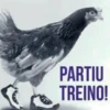 Memes academia 🏋️💪 9