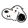 SNOOPY 17