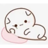 Kiss Cat 17