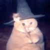 Wizard Cat 5