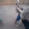 Reações crianças  13