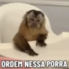 🐒 Pra mandar no trabalho 13
