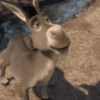 Burro 🫏 (Shrek) 9