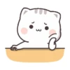 NEW CATT KIYOWOO 13