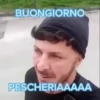 Mimmo Modem Vari #5 16