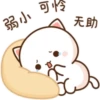 Mochi Peach cat 9 24