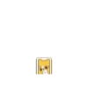 Chihuahua te responde 🐶📩 5