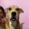 🎵 TIKTOKeando 28🎵 12