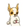 Chihuahua te responde 🐶📩 7