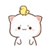 Mochi CAT  9