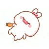 RABBITTTT  13
