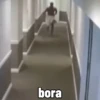 bora