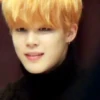BTS Park Jimin [박지민] 9