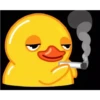 Utya duck  16