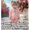 Funny random para contestar 😁💬 8