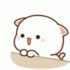 Kiss Cat 6