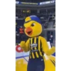 Fenerbahçe Yellow 14