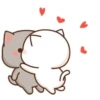 Kiss Cat 8