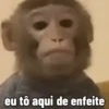 eu tô aqui de enfeite