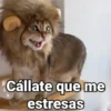 Cállate que me estresas