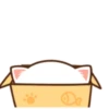 Mochi Peach cat 9 11