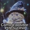 😻Gato Mago 🪄 Halloween 🎃 12