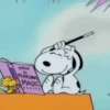 Snoopy 🏠🌈 (sticker.fan) 15