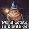 😻Gato Mago 🪄 Halloween 🎃 6