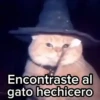 😻Gato Mago 🪄 Halloween 🎃 8