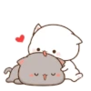 Mochi CAT LOVE 💘 AMOR ❤️ 14