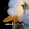 Pato Gifs 🦆 25