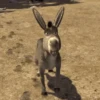 Burro 🫏 (Shrek) 20