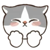 Kucing Gemoy #2 14